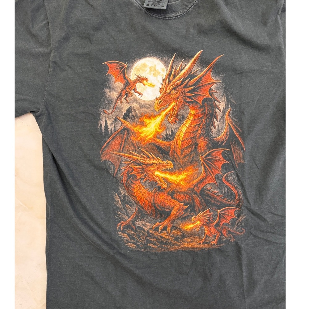 Comfort Colors Dragon Graphic T-Shirt Gray Heavyweight Cotton Mens Medium
